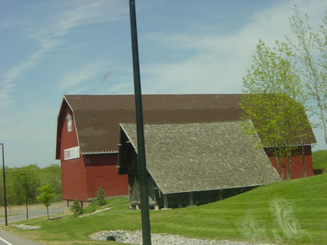 DSC01453.JPG