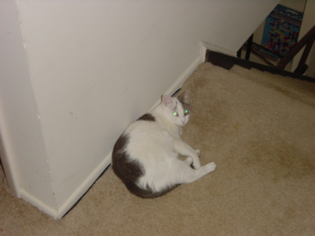 DSC01429.JPG