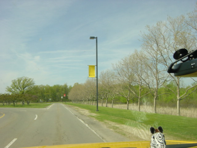 DSC01470.JPG