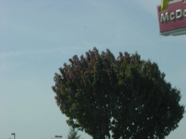 DSC01484.JPG