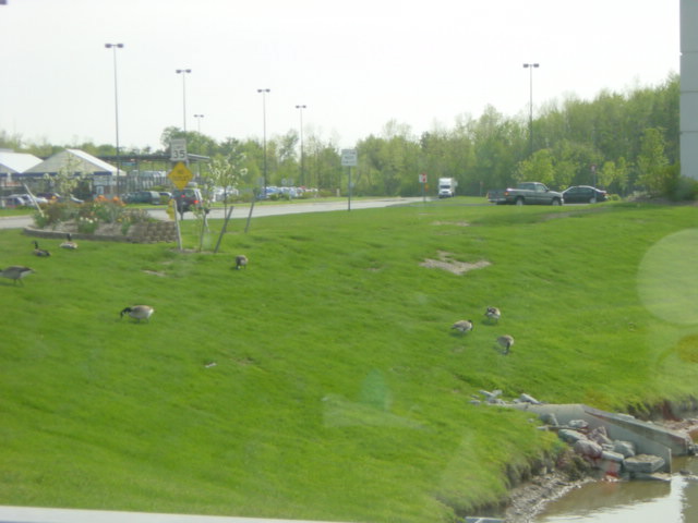 DSC01489.JPG