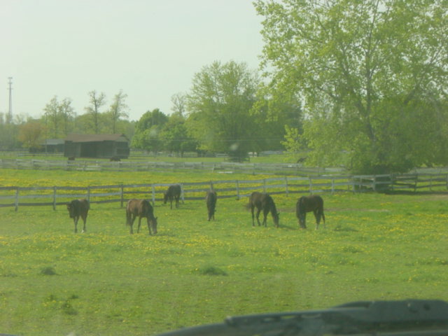 DSC01494.JPG