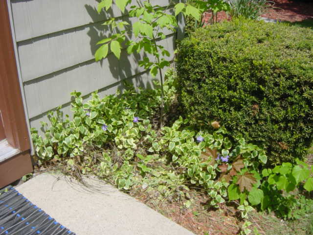 DSC01434.JPG