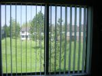 DSC01428.JPG