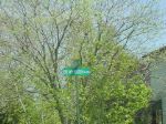DSC01446.JPG