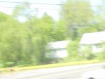 DSC01452.JPG