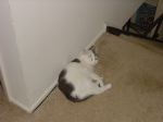 DSC01429.JPG